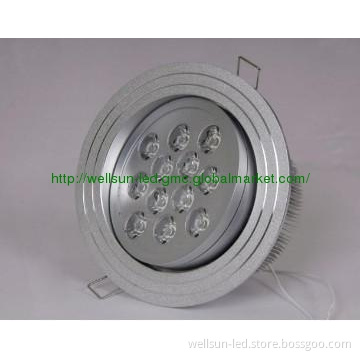 Beautiful and high quality LED Downlight